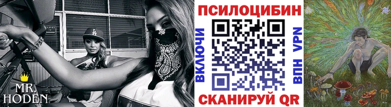 Галлюциногенные грибы Cubensis  Лихославль 